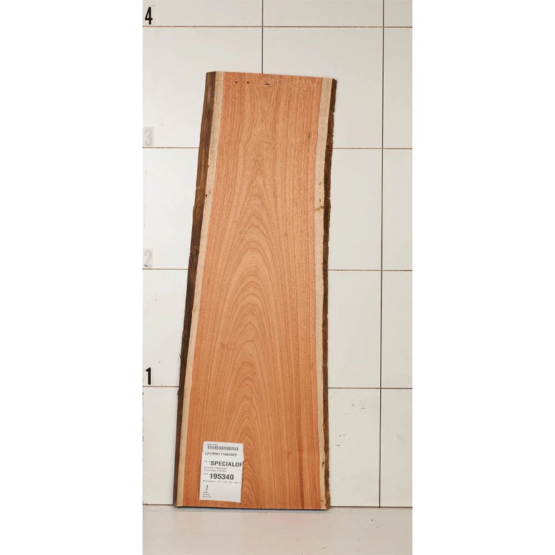 Macacauba Wood Slab - Thickness:1-1/4" - Width:14-1/2" - Length:43"